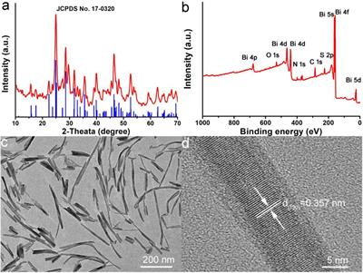 Bismuth Sulfide Nanorods as Efficient Photothermal Theragnosis Agents for Cancer Treatment